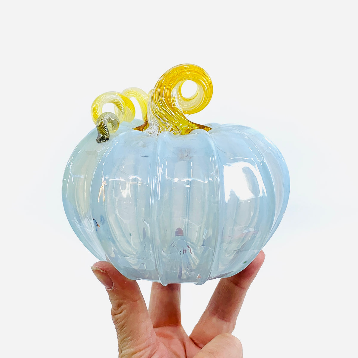 Daily Pumpkin 1471 Squat