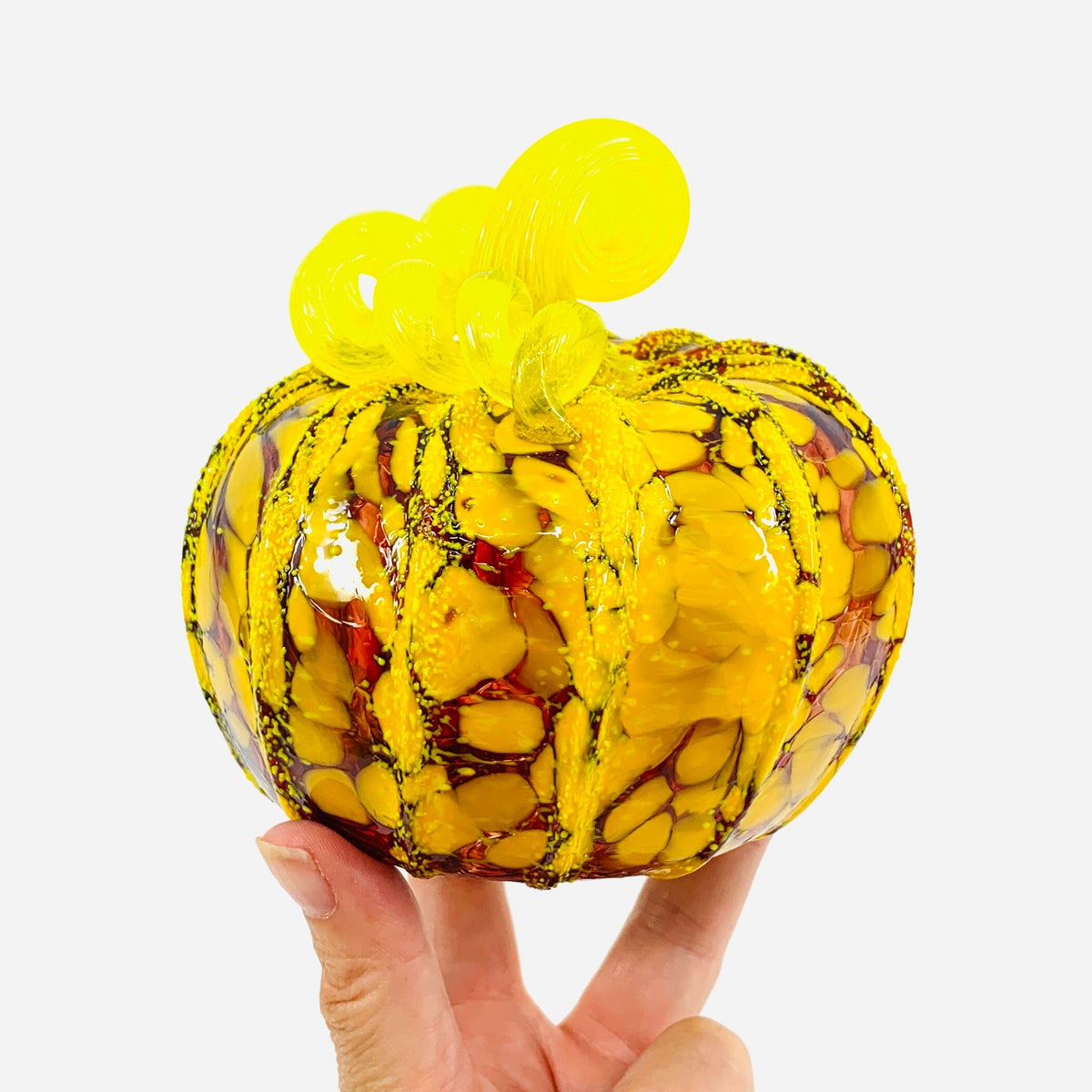 Daily Pumpkin 3119 Fall Squat Gabby Luke Adams Glass Blowing Studio 
