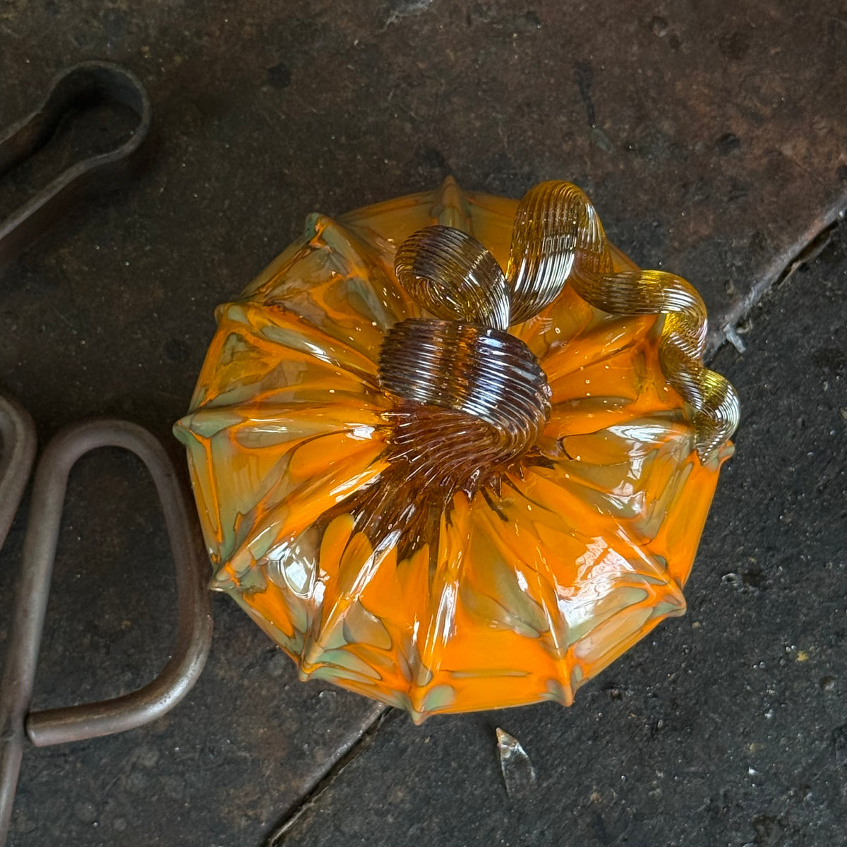 Harley, The Giving Pumpkin