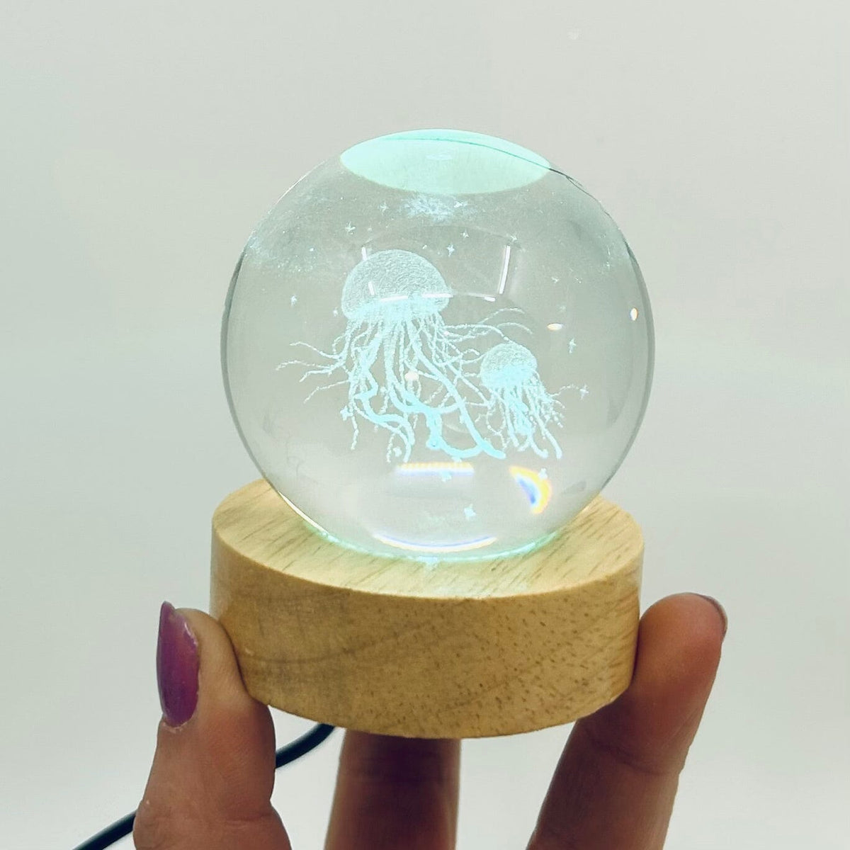 Light Up Etched Glass Sphere décor - Jellyfish 29TONIGHT 