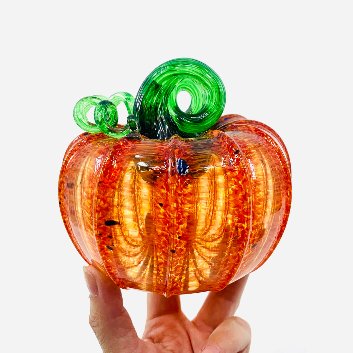 Daily Pumpkin 3343 Fall Squat