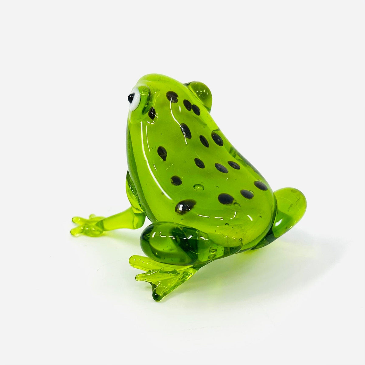 Pocket Frog Miniature Gift Essentials 