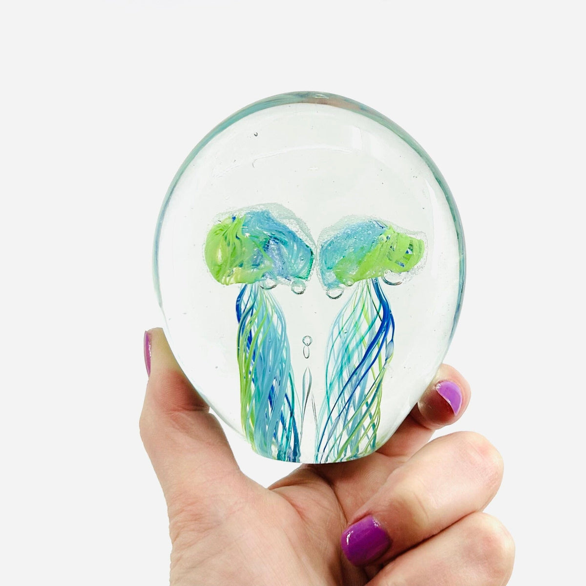 Twin Jellyfish Glow in the Dark Paperweight 10 Decor Chesapeake Bay 