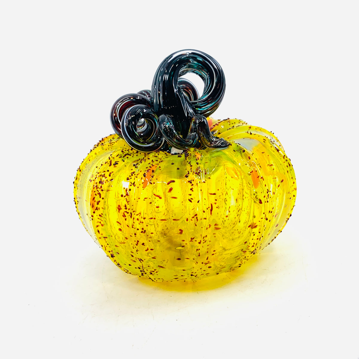 Daily Pumpkin 455 Fall Squat