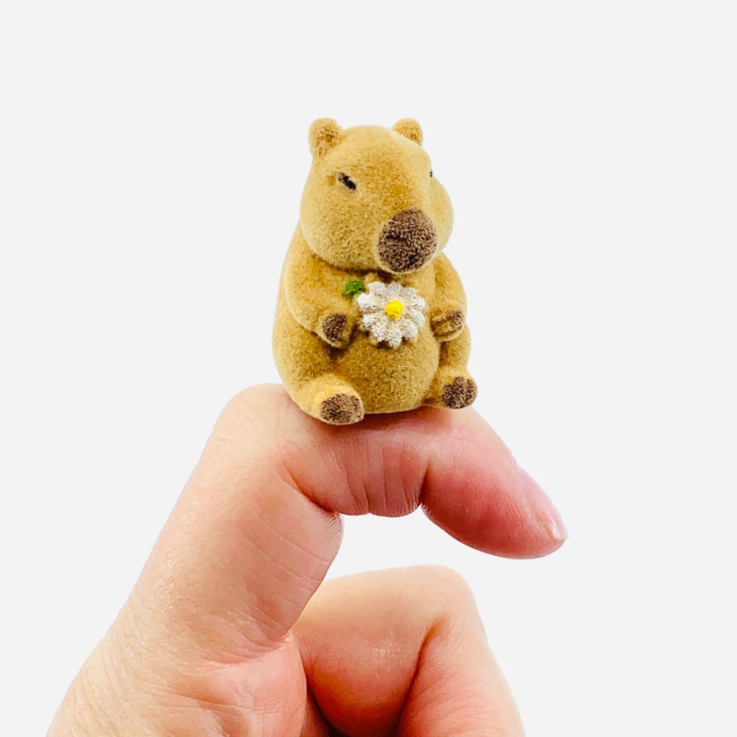 Be Cappy Capybara Pocket Charm - PT191 GANZ 