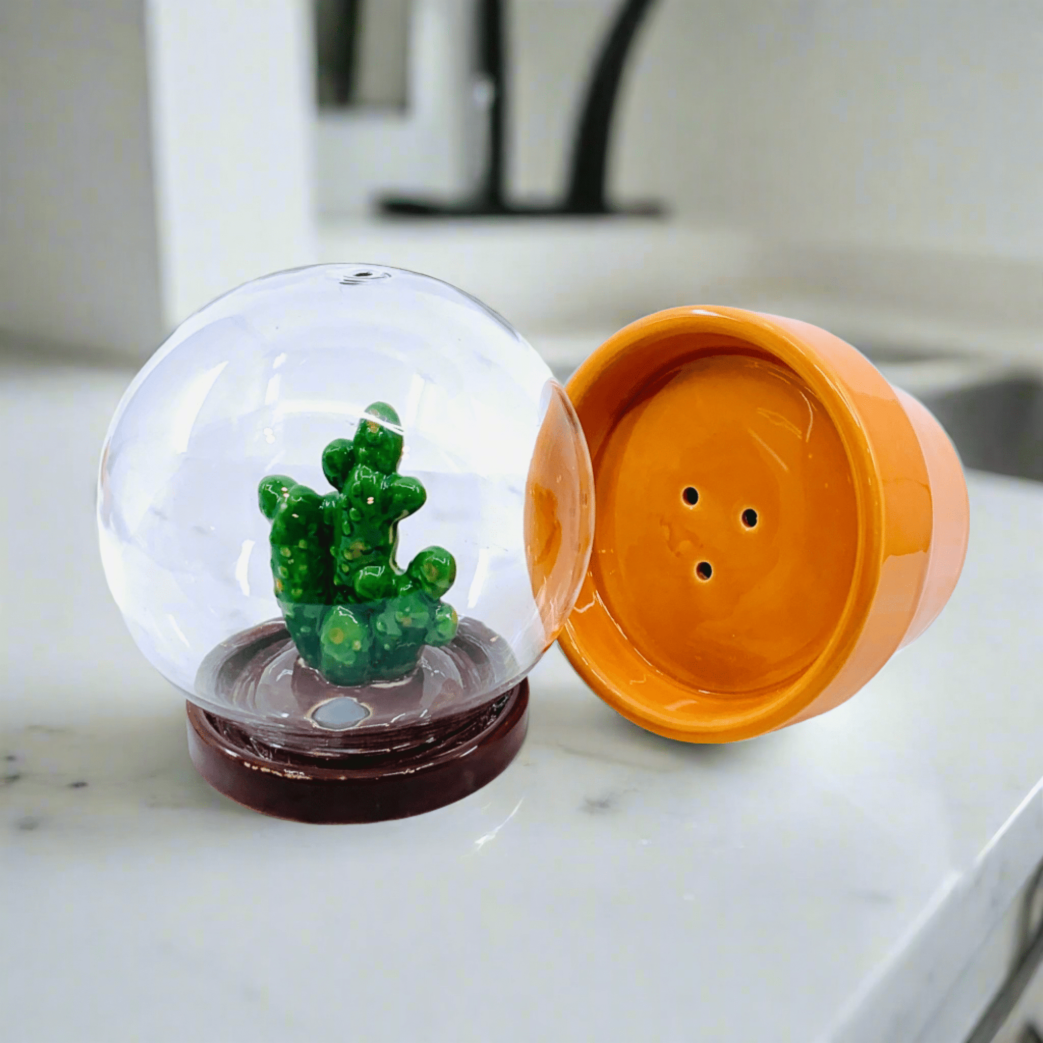 succulent snow globe Cactus Snowglobe Salt and Pepper Shaker