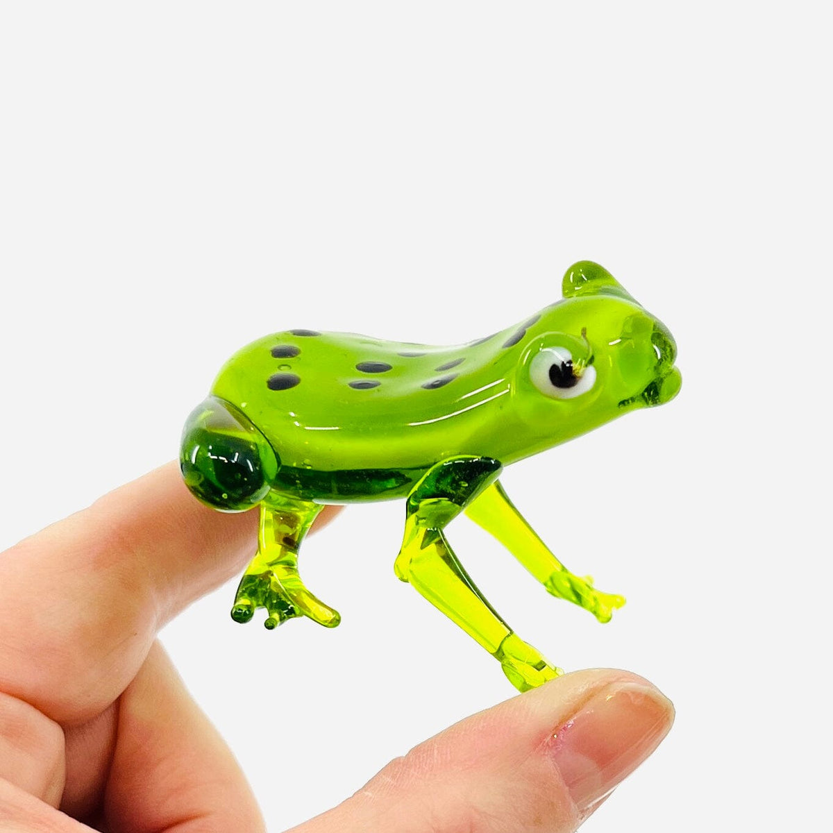 Pocket Frog Miniature Gift Essentials 