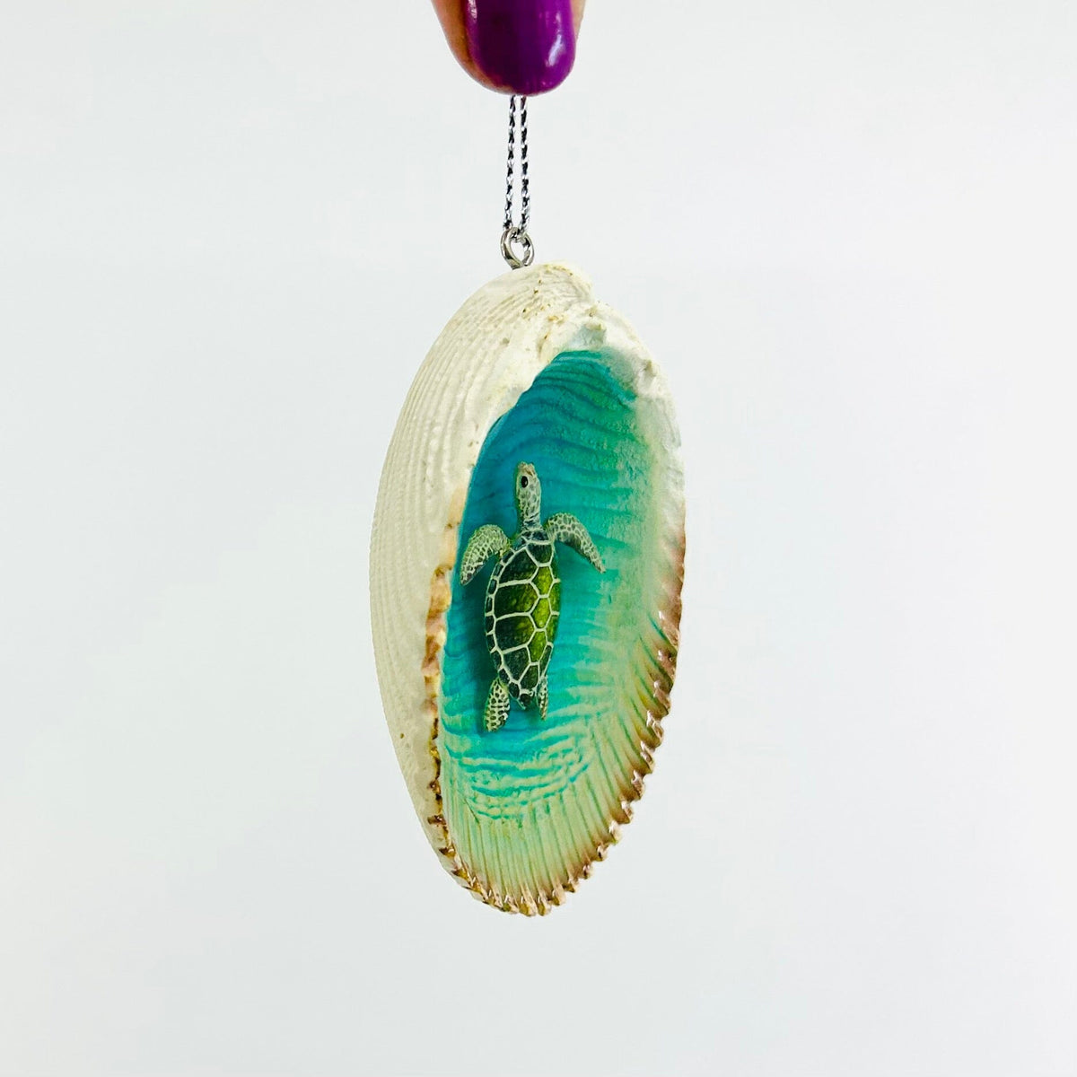 Sea Turtle in Shell Ornament Chesapeake Bay 