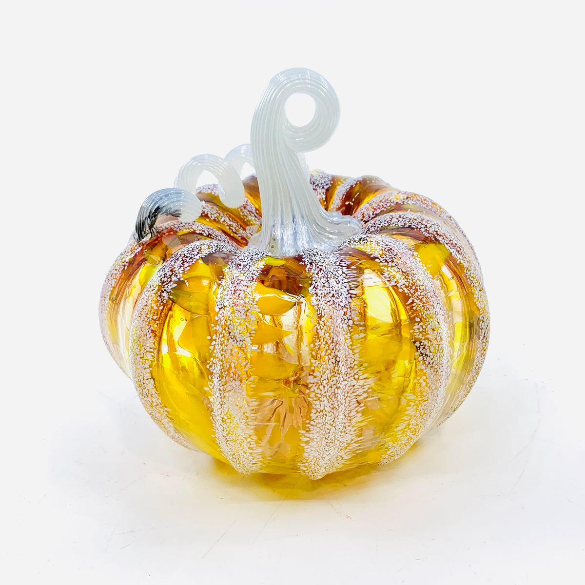 Daily Pumpkin 3582 Fall Squat