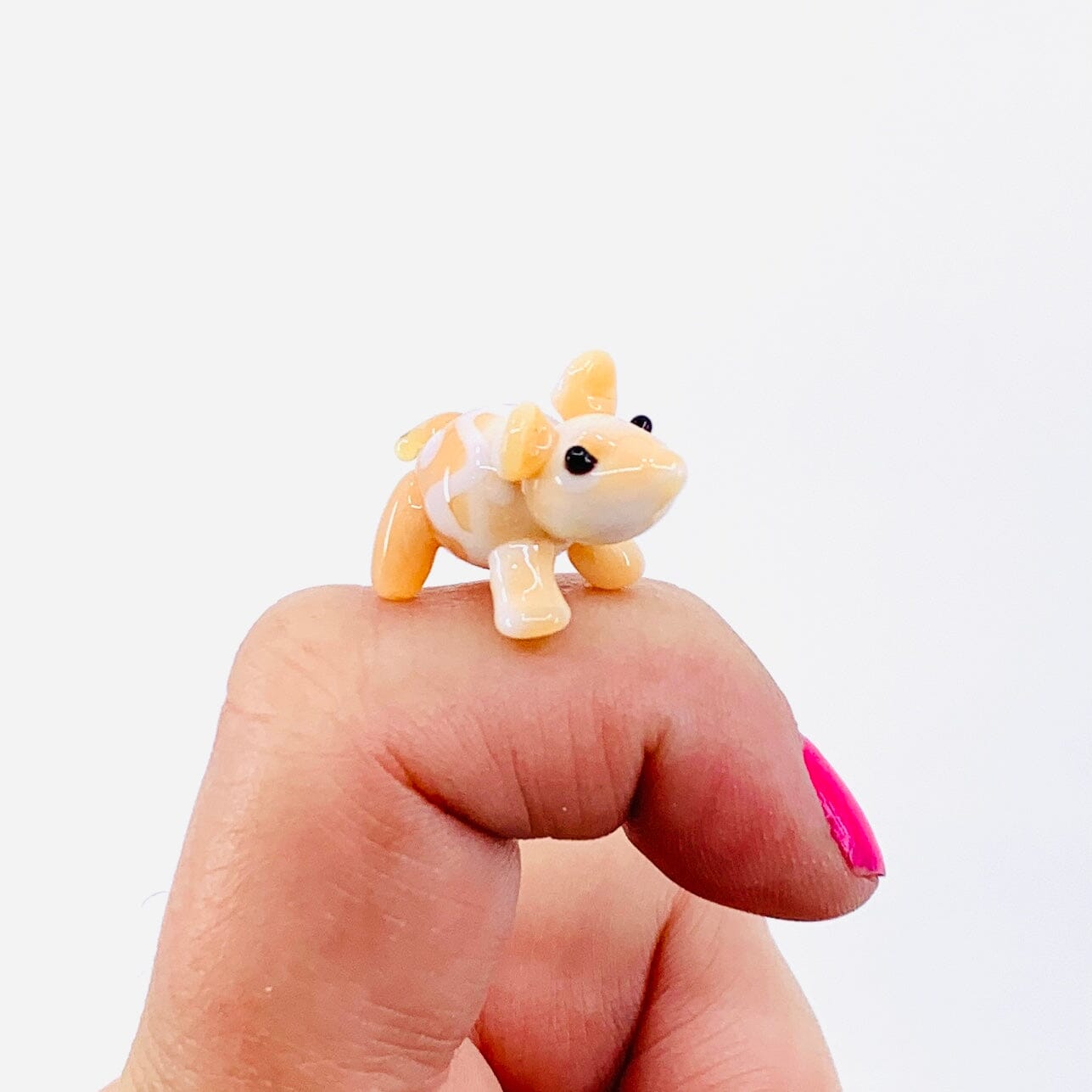 Teeny Teensie Hamster JACO 