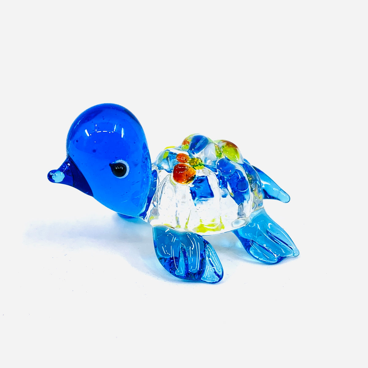 Glass Spotted Turtle