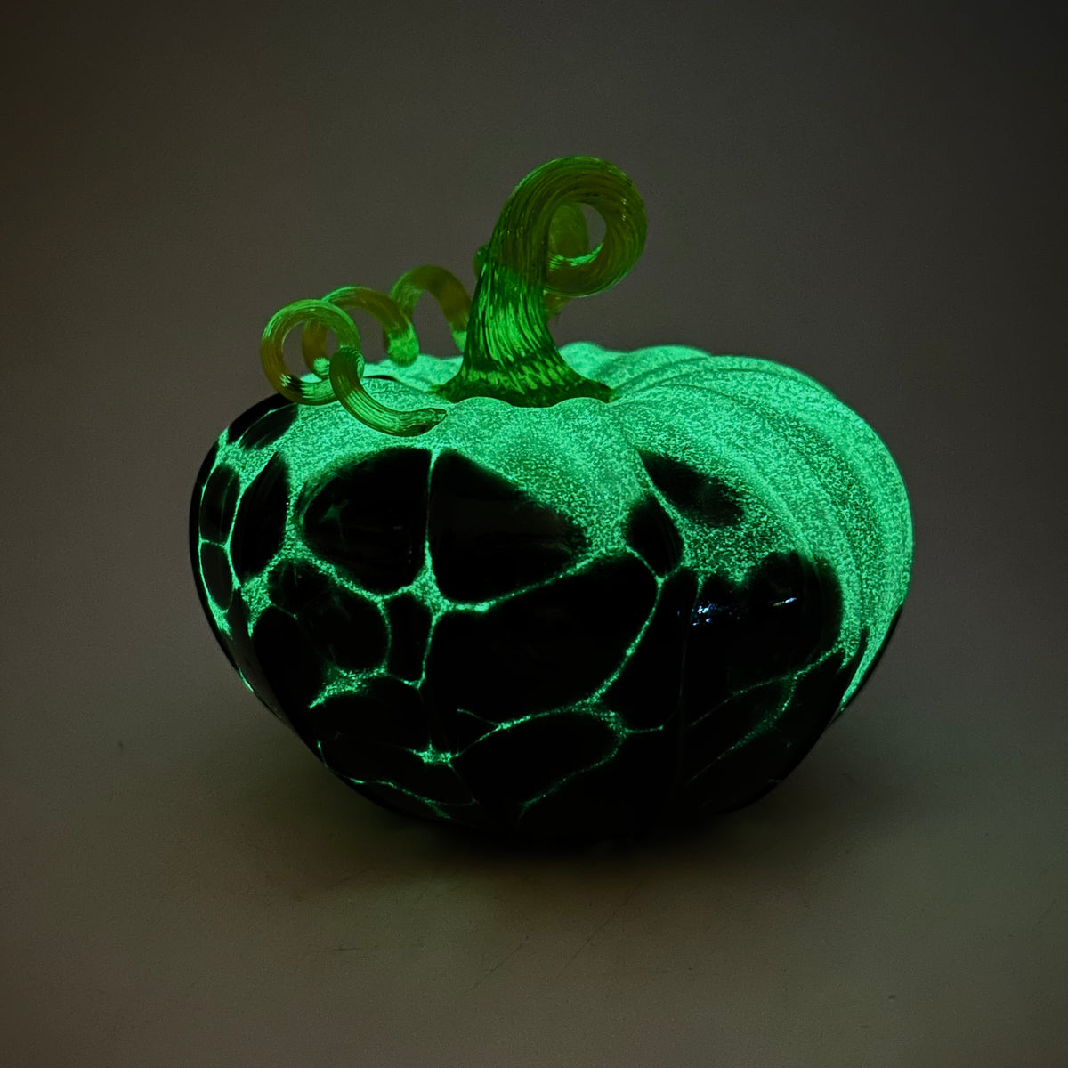 Best Daily Glow Pumpkin 3597 Squat