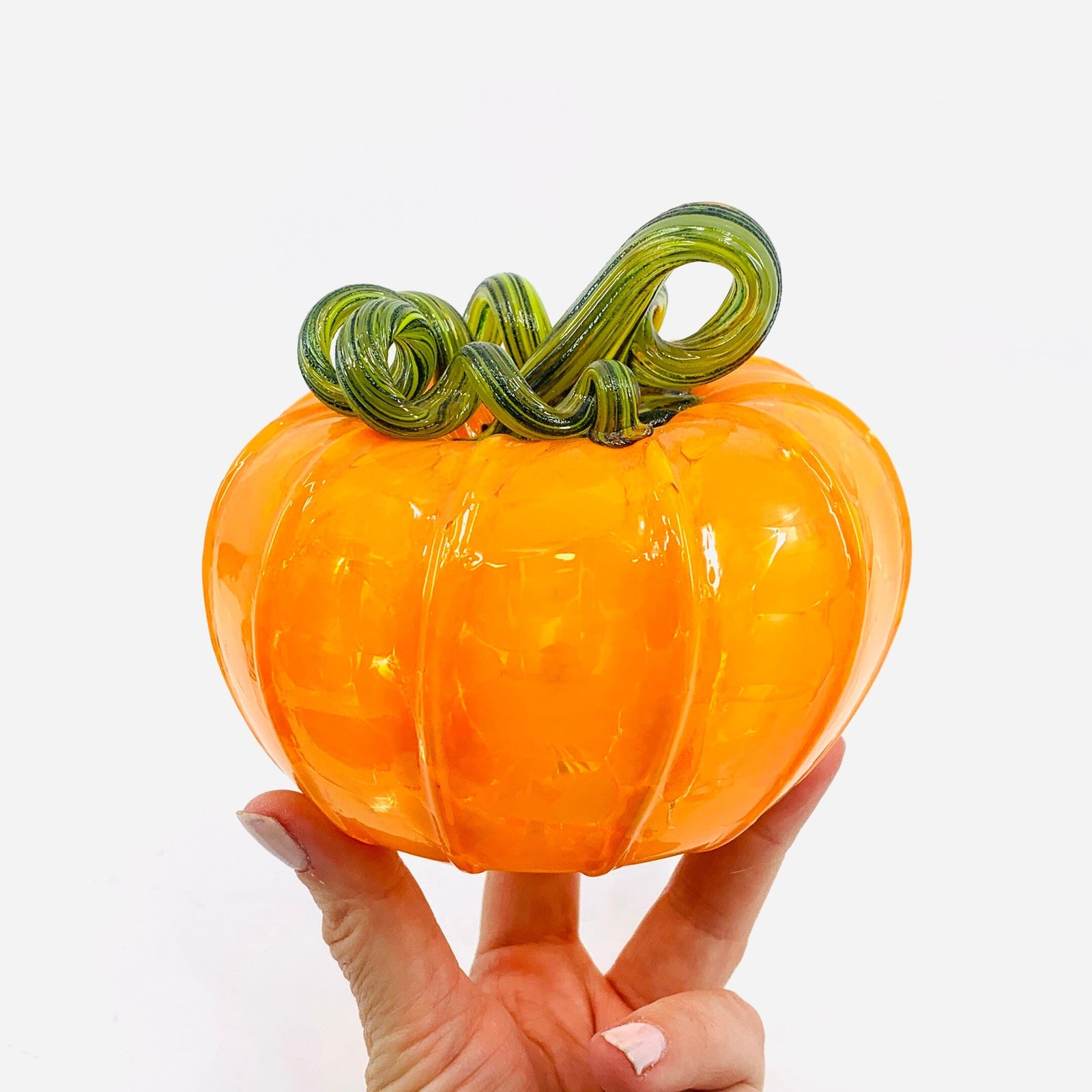 Daily Pumpkin 3792 Squat Gabby Luke Adams Glass Blowing Studio 