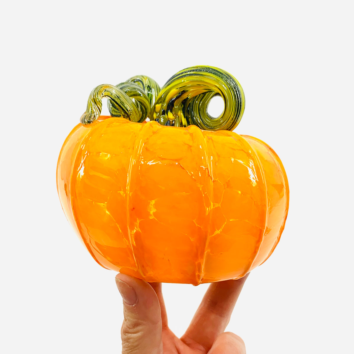 Daily Pumpkin 1358 “Oops” Squat