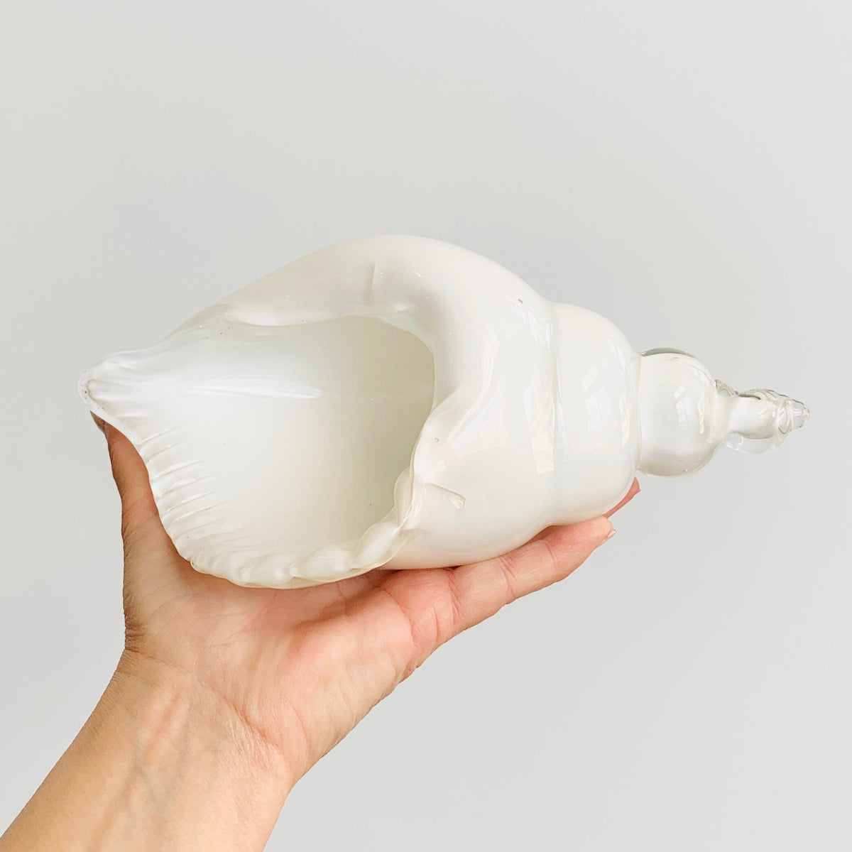 White and Clear Glass Conch Shell Decor Beachcombers 