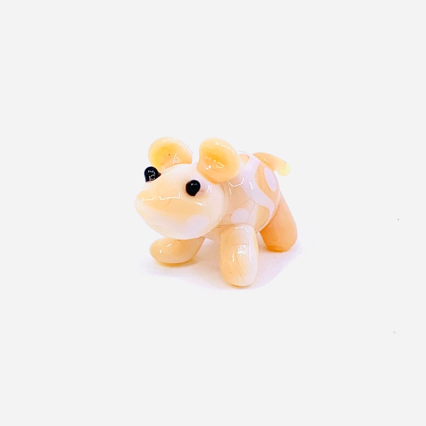 Teeny Teensie Hamster JACO 