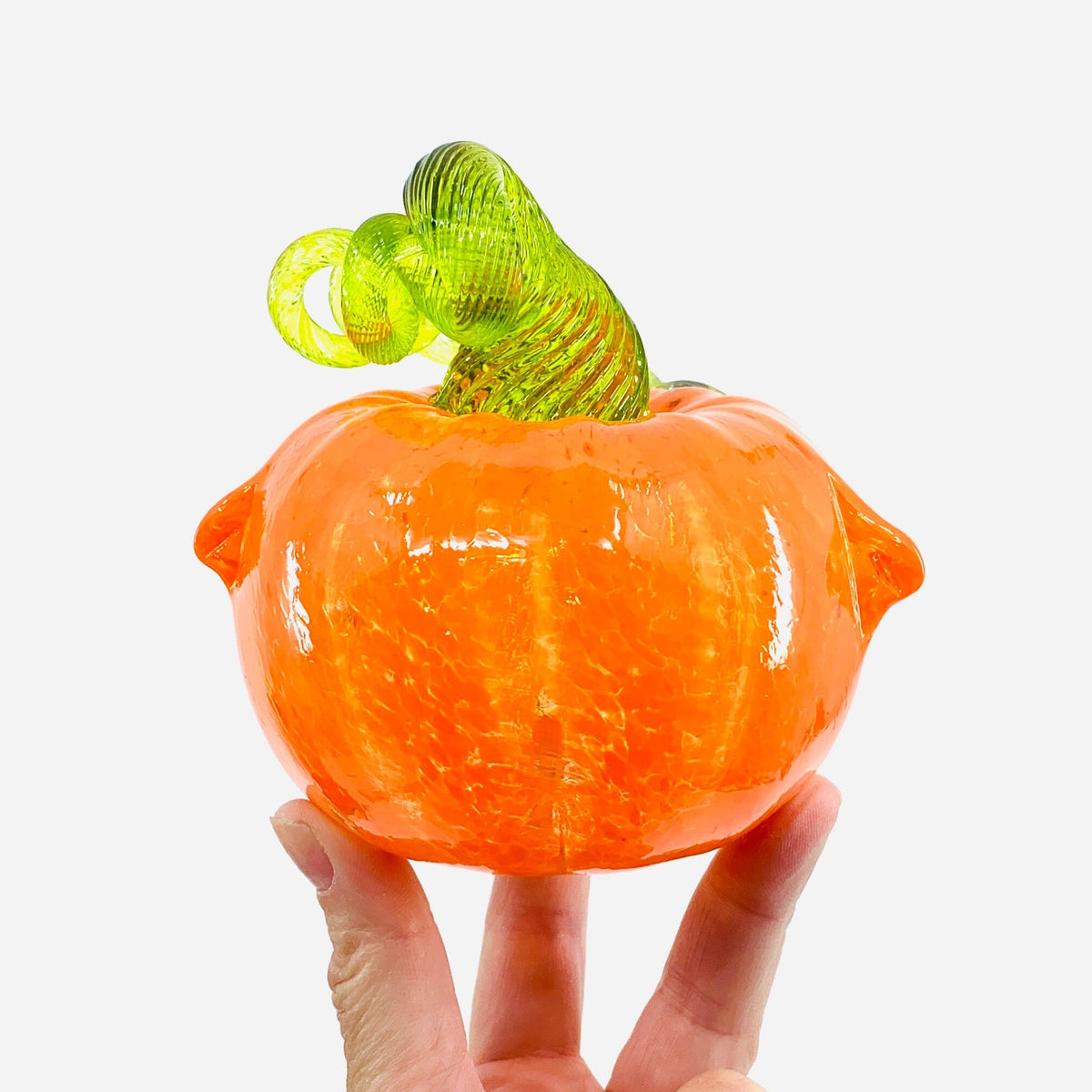 Daily Pumpkin 1747 Oops Catkin Gabby Luke Adams Glass Blowing Studio 
