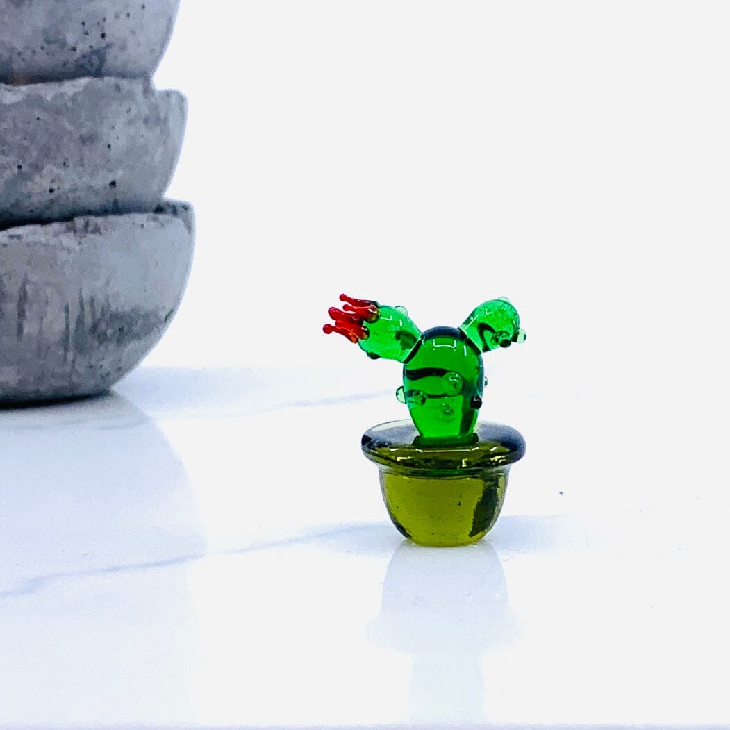 Mini Glass Cactus, Nopales GANZ 