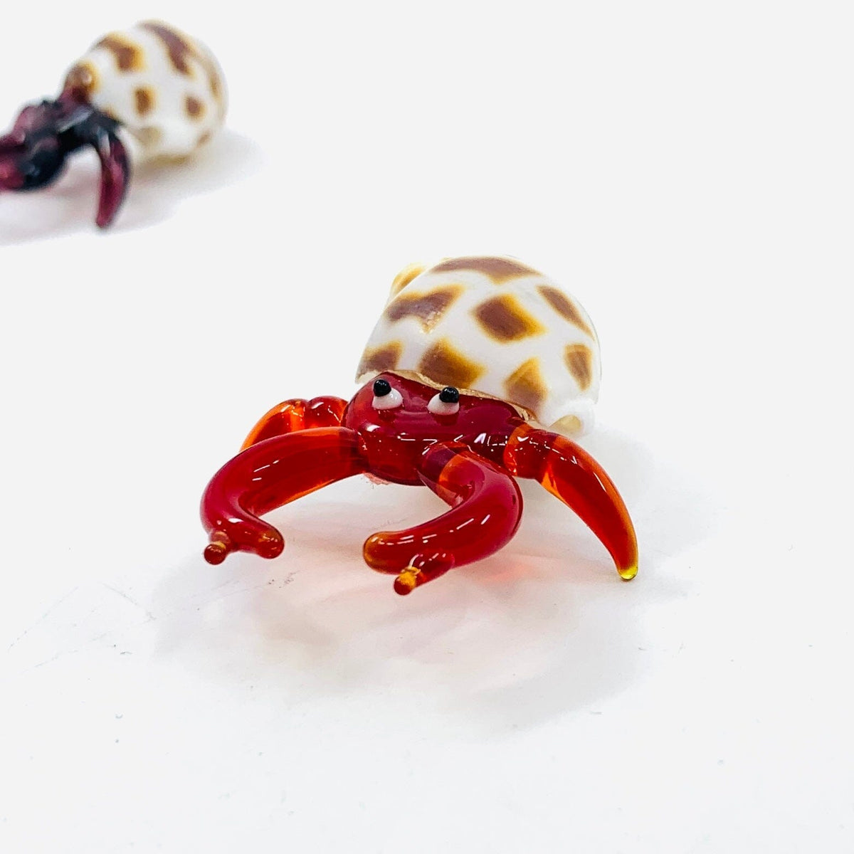 Hermit Crab, Purple Decor Chesapeake Bay 