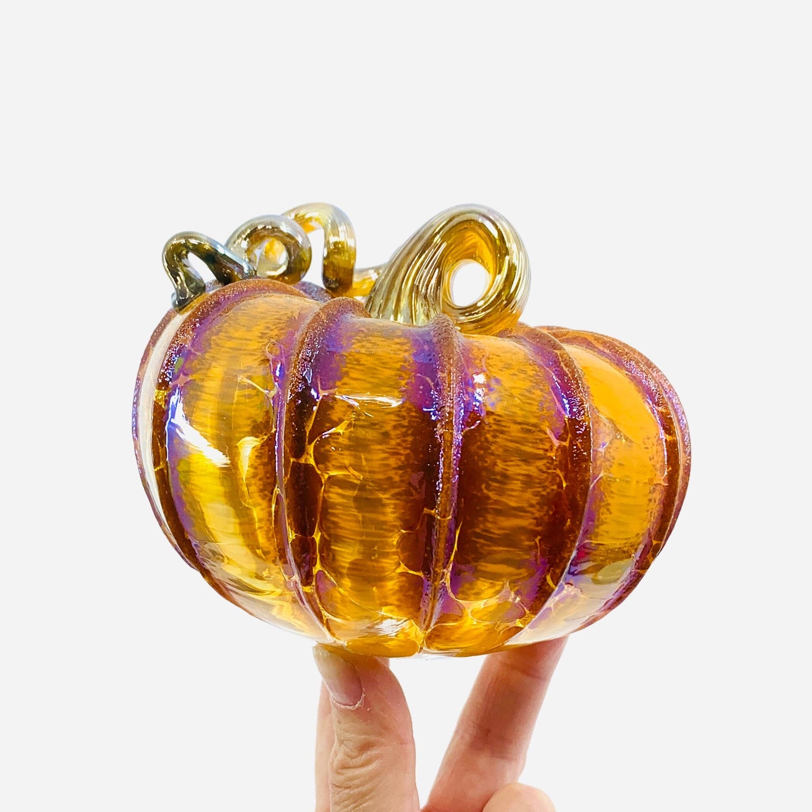 Daily Pumpkin 1533 Oops Squat Gabby Luke Adams Glass Blowing Studio 