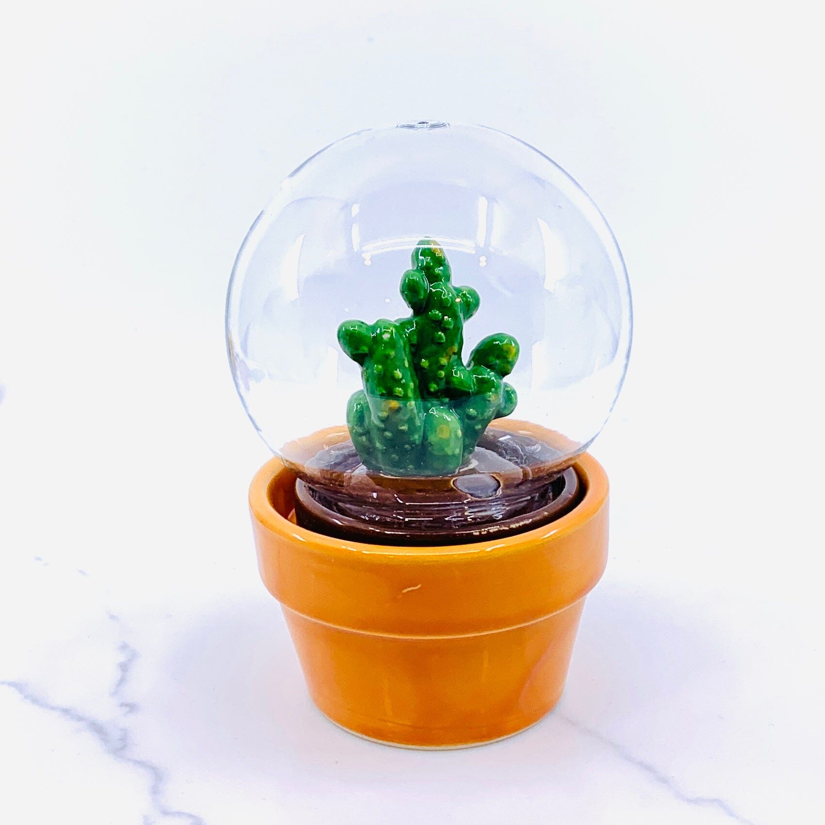 succulent snow globe Cactus Snowglobe Salt and Pepper Shaker