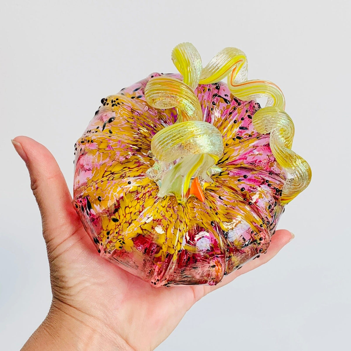 Best Pumpkin of The Day 2957 “Sparkle Raspberry Sorbet” Squat Gabby Luke Adams Glass Blowing Studio 