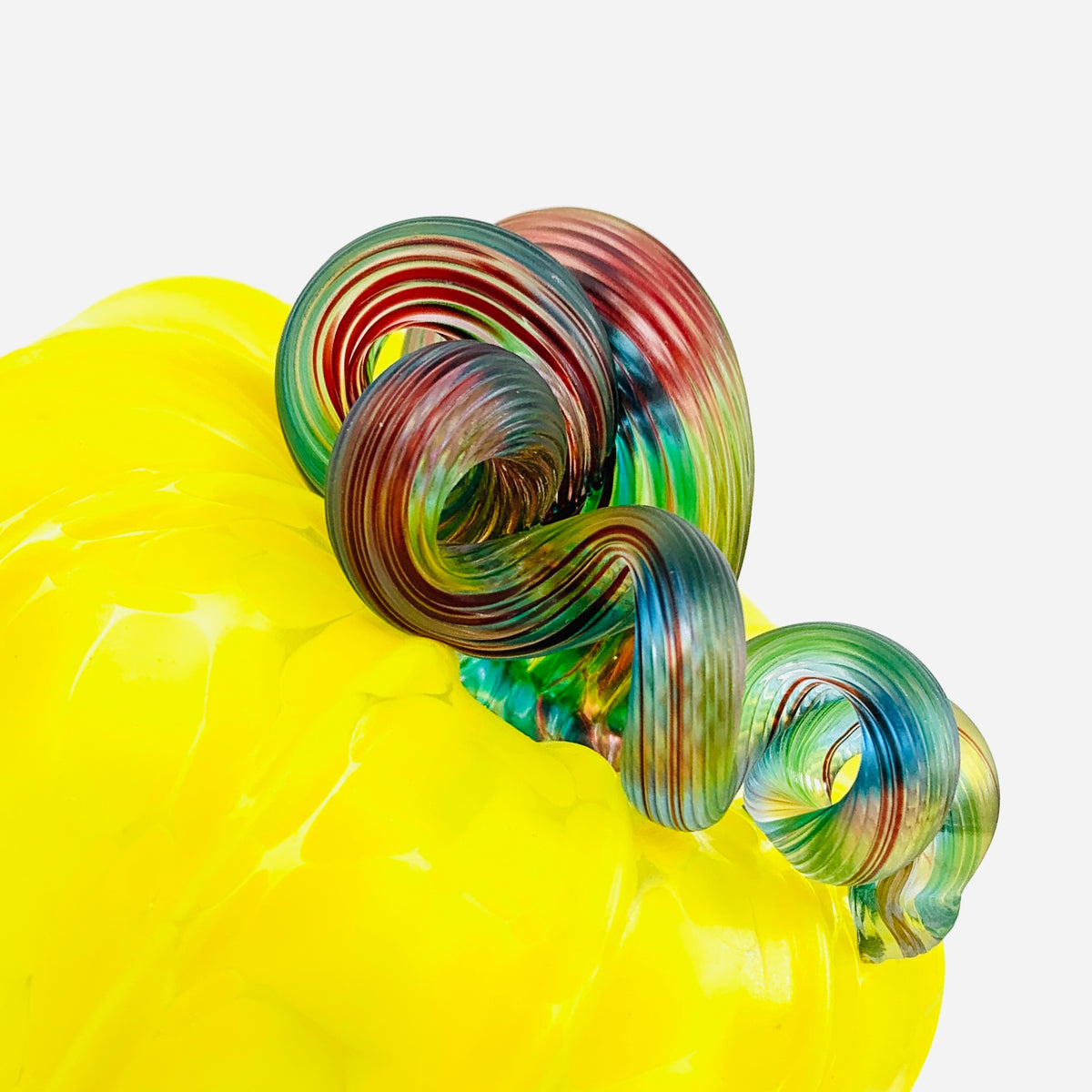 Daily Pumpkin 1191 Matte “Rainbow Stem” Squat