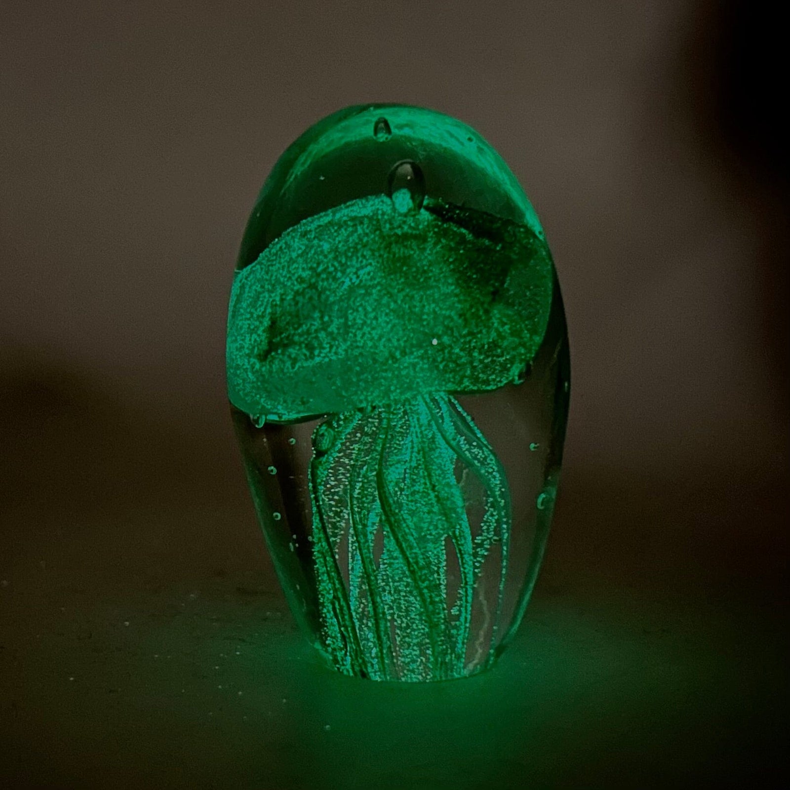 Glow in The Dark Jellyfish Paperweight Small 14, Blue B Decor Chesapeake Bay 