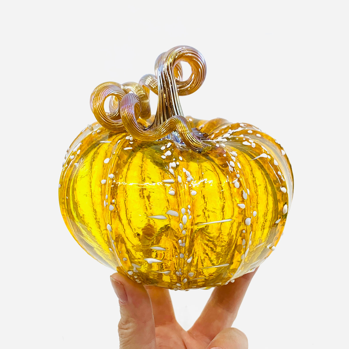 Daily Pumpkin 3587 Fall Squat