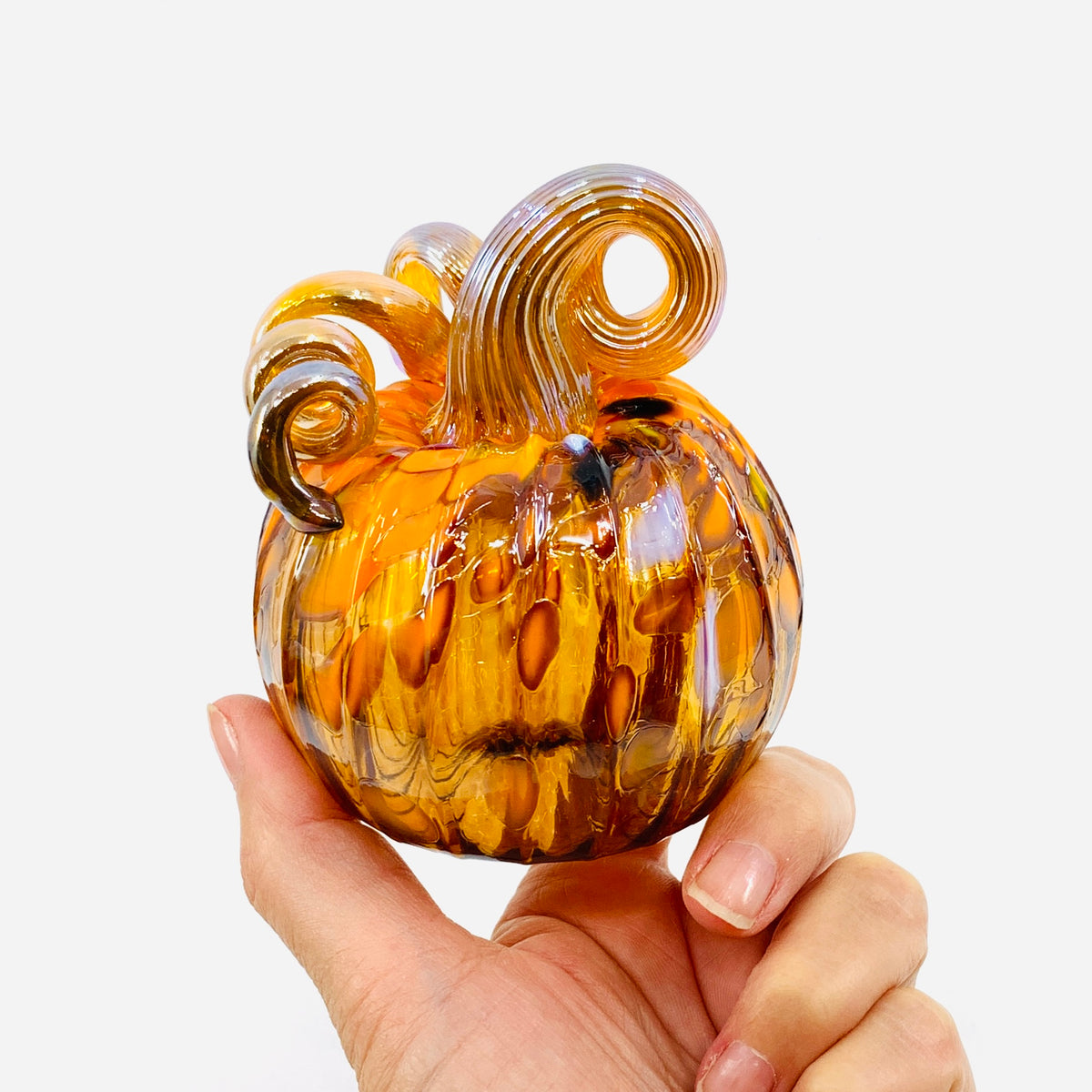 Daily Pumpkin 3289 Fall Mini