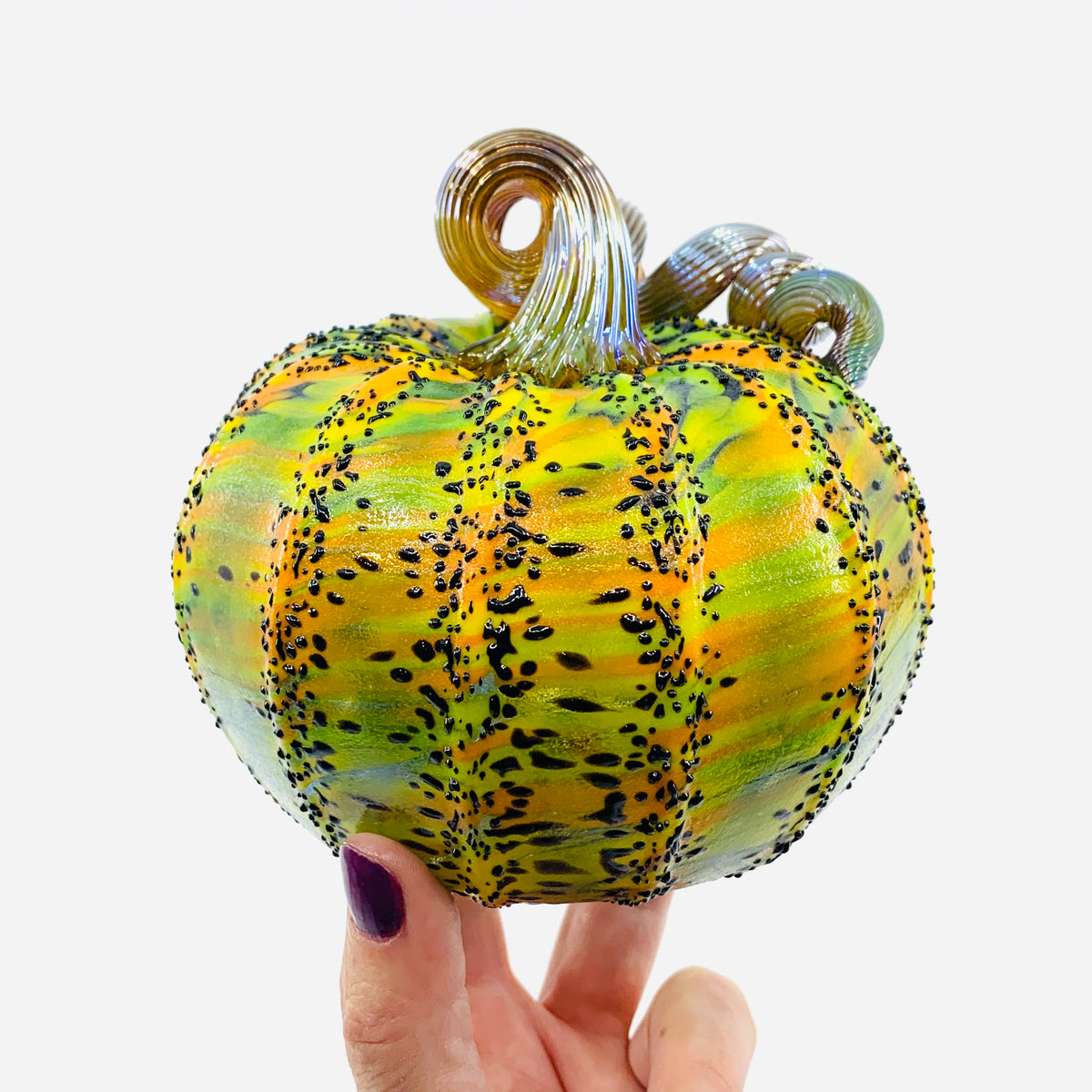 Daily Pumpkin 952 Squat