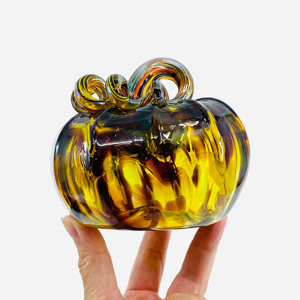 Daily Pumpkin 3313 Oops Fall Squat Gabby Luke Adams Glass Blowing Studio 