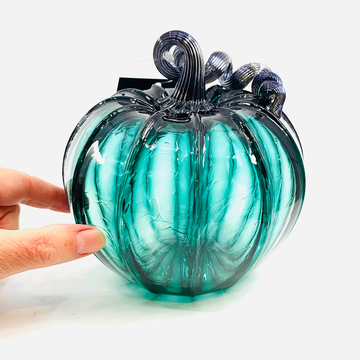 Lost Inventory 1097 Lagoon Medium