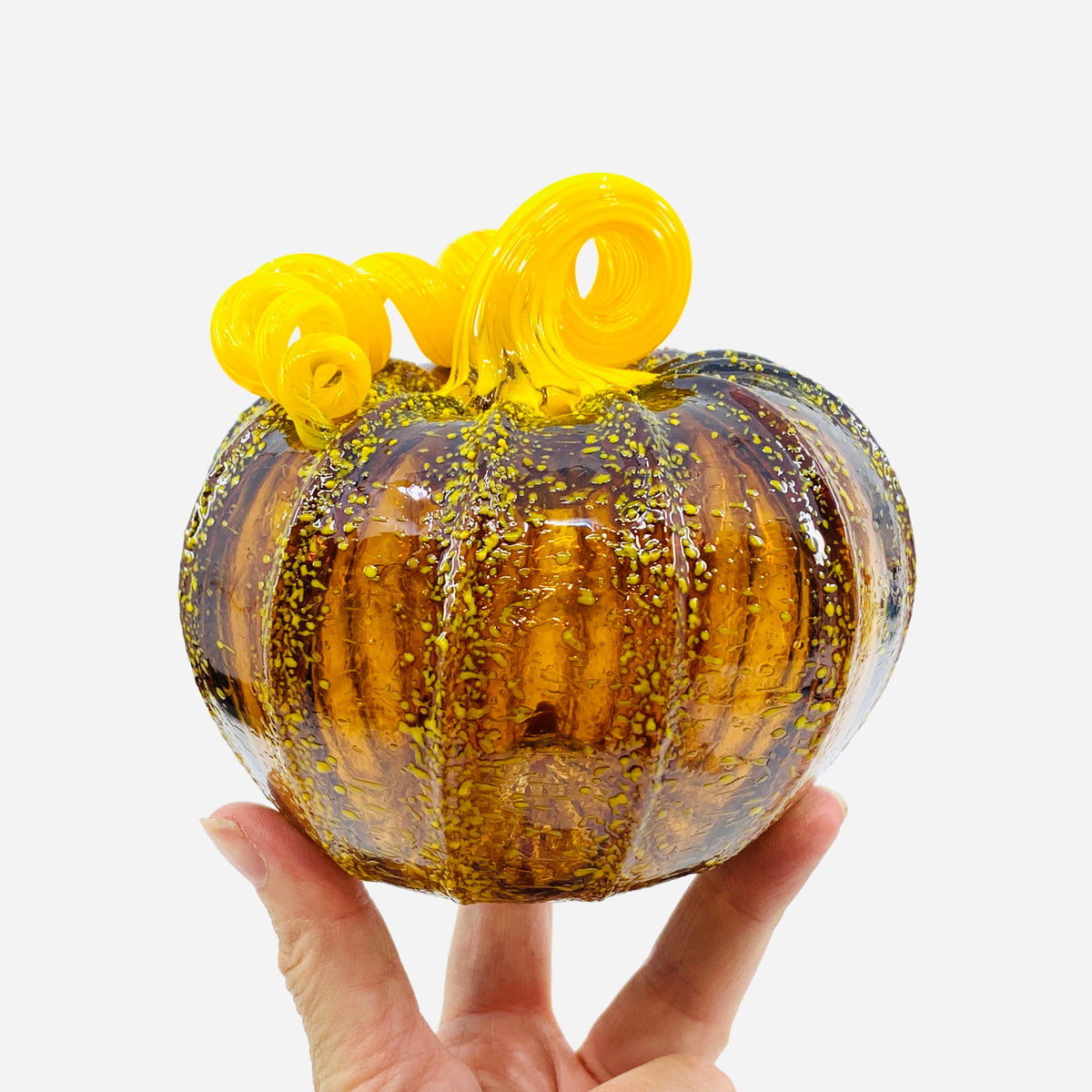 Daily Pumpkin 3130 Fall Squat