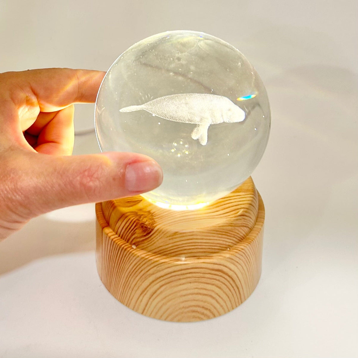 Manatee Rotating Crystal Ball Lamp CALLA PRODUCTS 