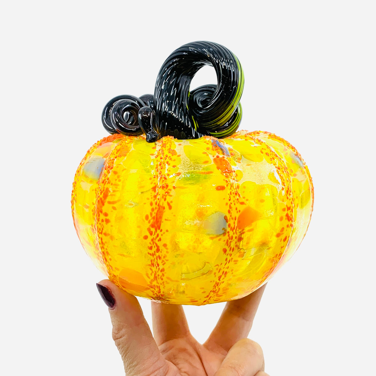 Daily Pumpkin 3926 Fall Squat