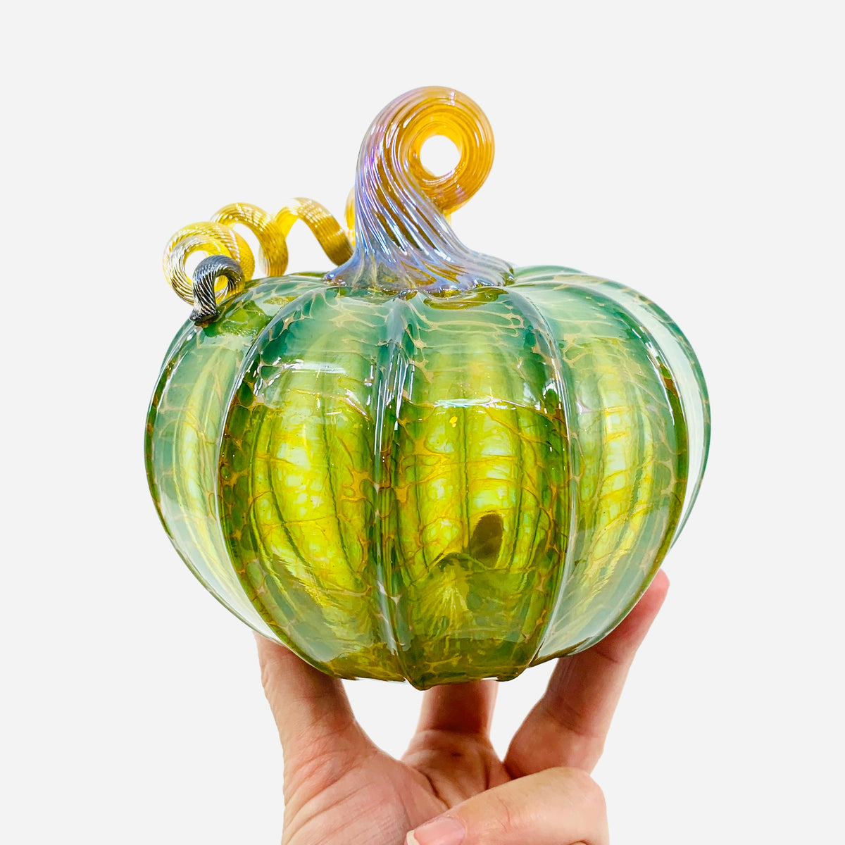 Daily Pumpkin 3686 Fall Squat