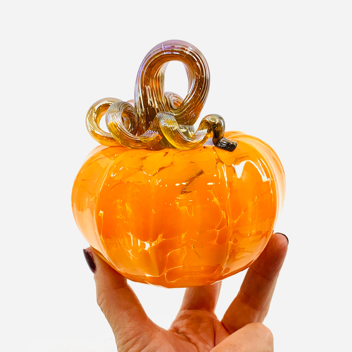 Daily Pumpkin 23 Fall Squat