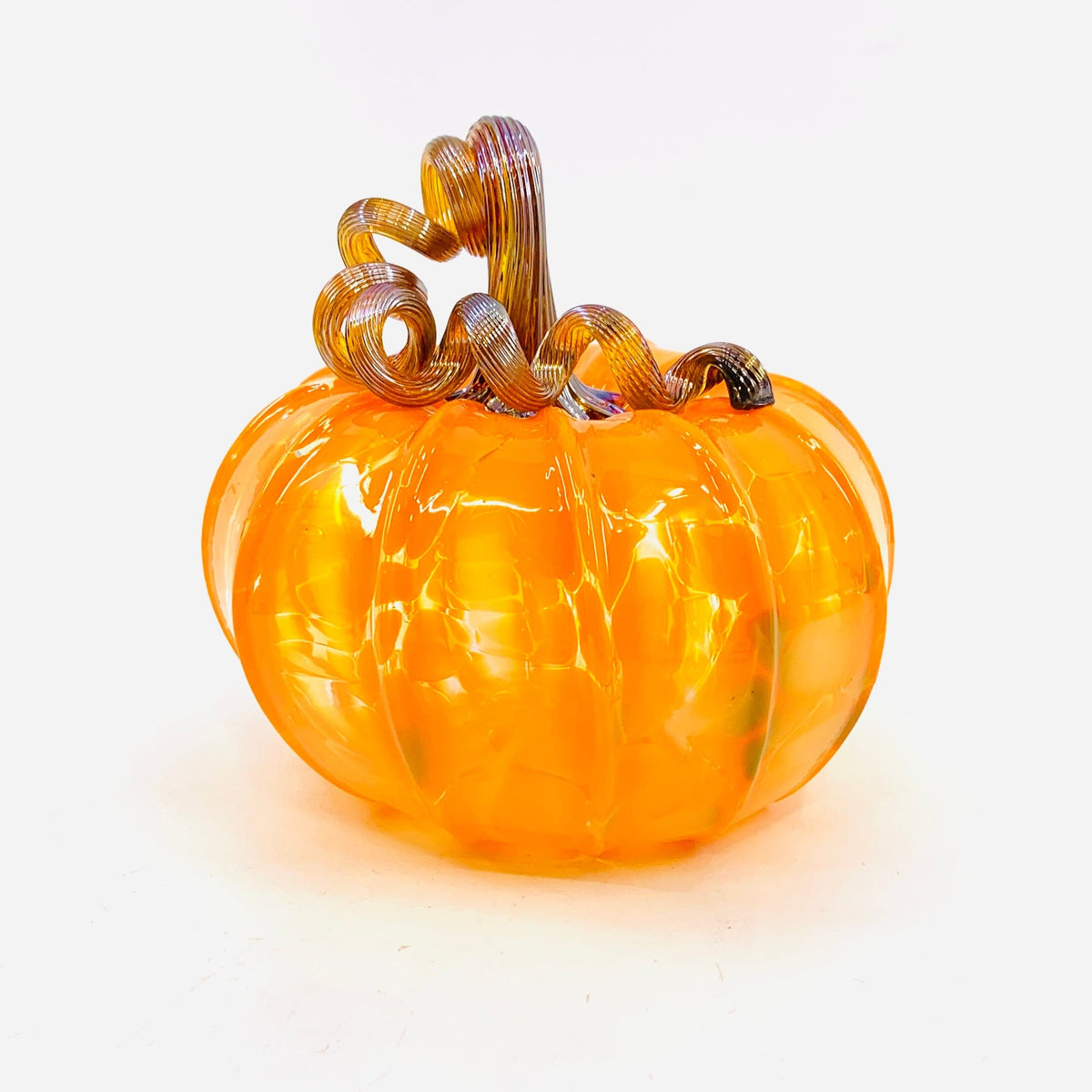 Daily Pumpkin 3556 Fall Squat Gabby Luke Adams Glass Blowing Studio 