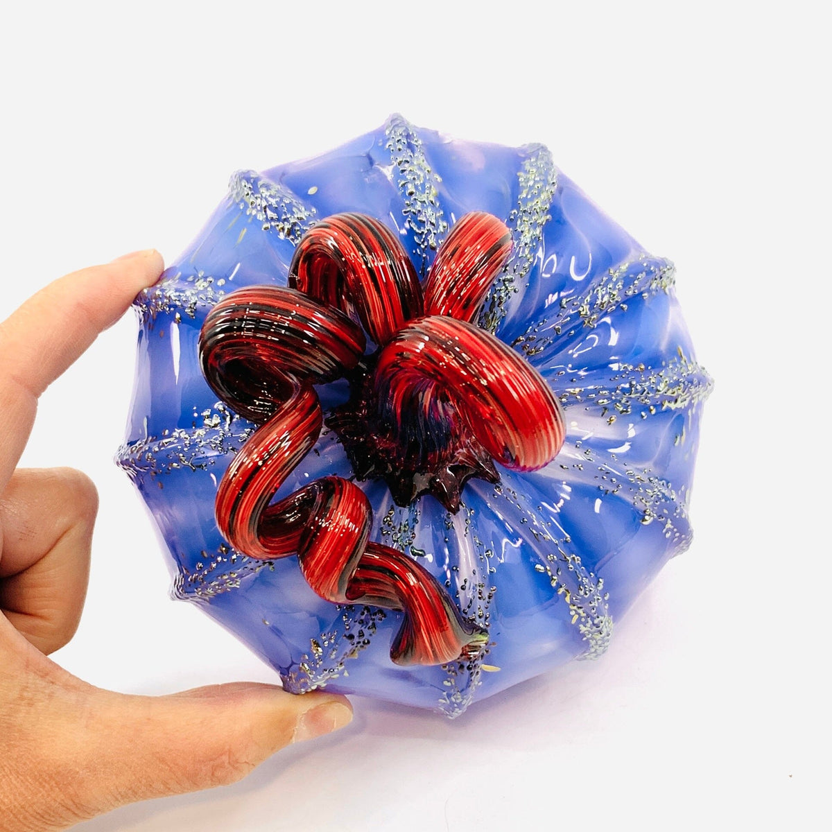 We're Not in Kansas Anymore, Squat Inspo Luke Adams Glass Blowing Studio 