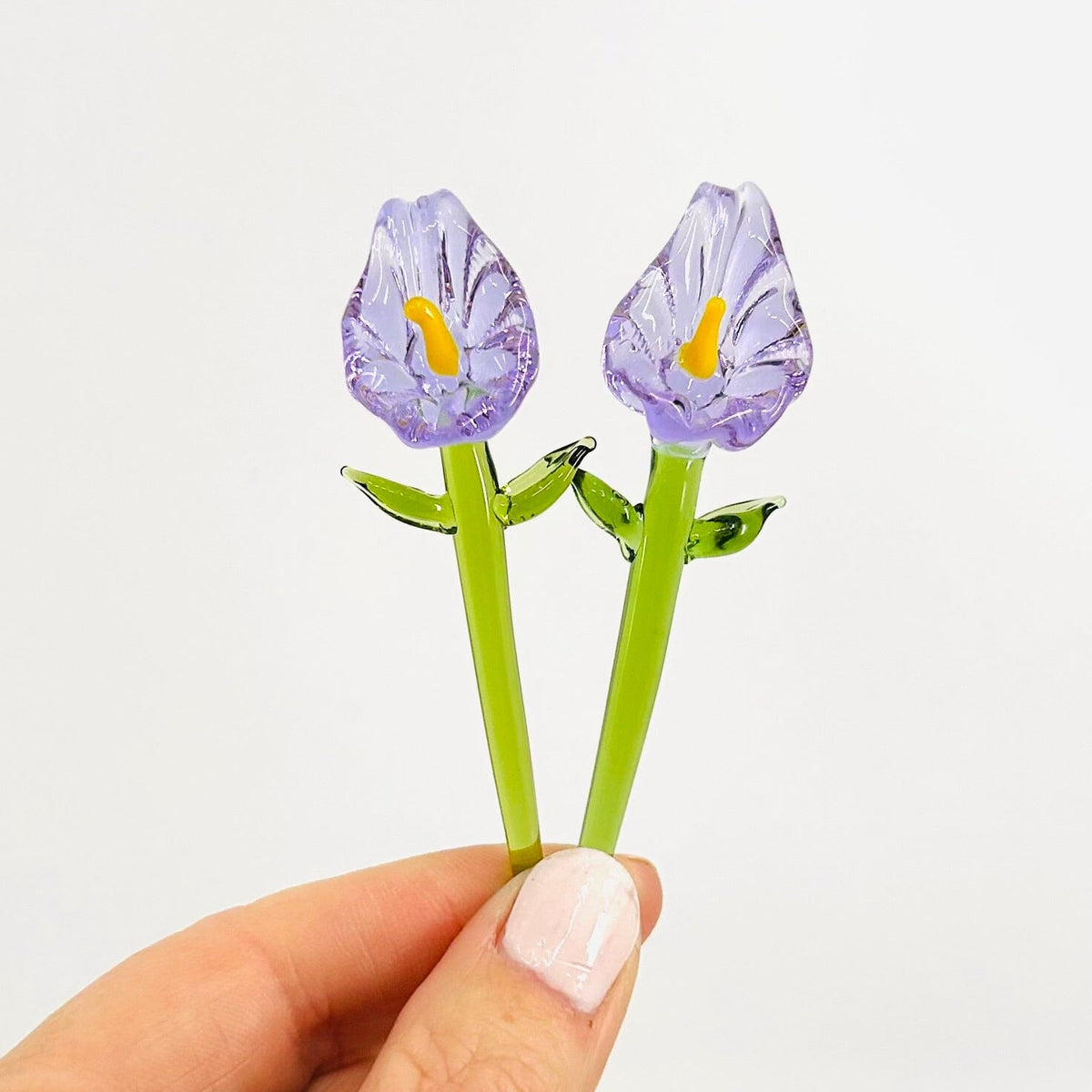 Tiny Calla Lilies - Build Your Own Bouquet Alex Forget Me Not 
