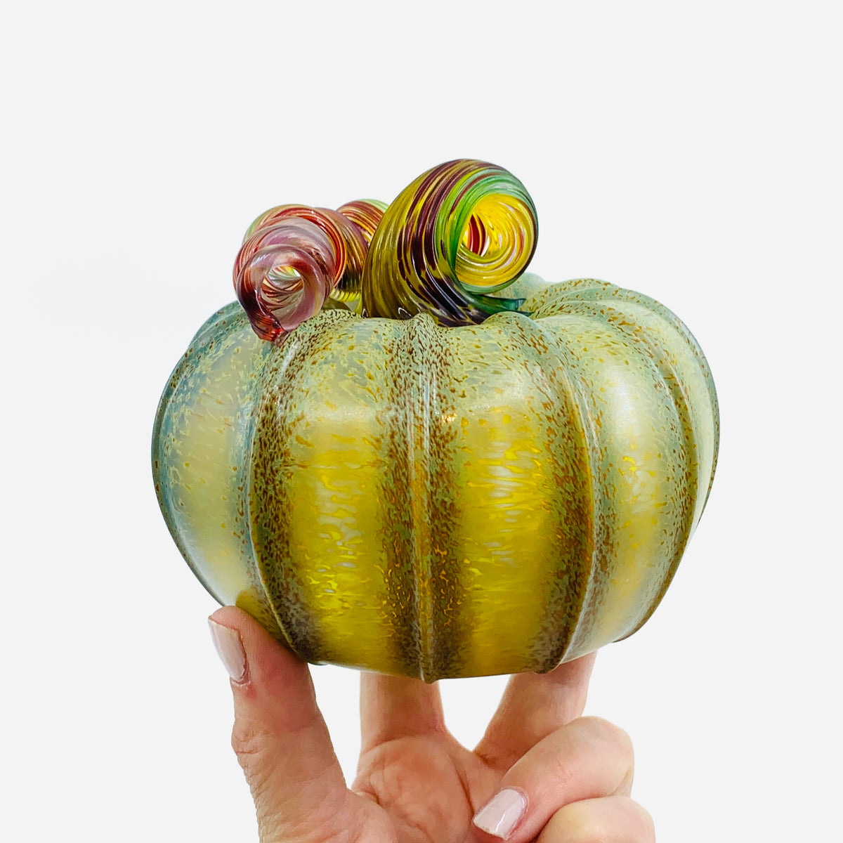 Daily Pumpkin 1190 Matte “Rainbow Stem” Squat