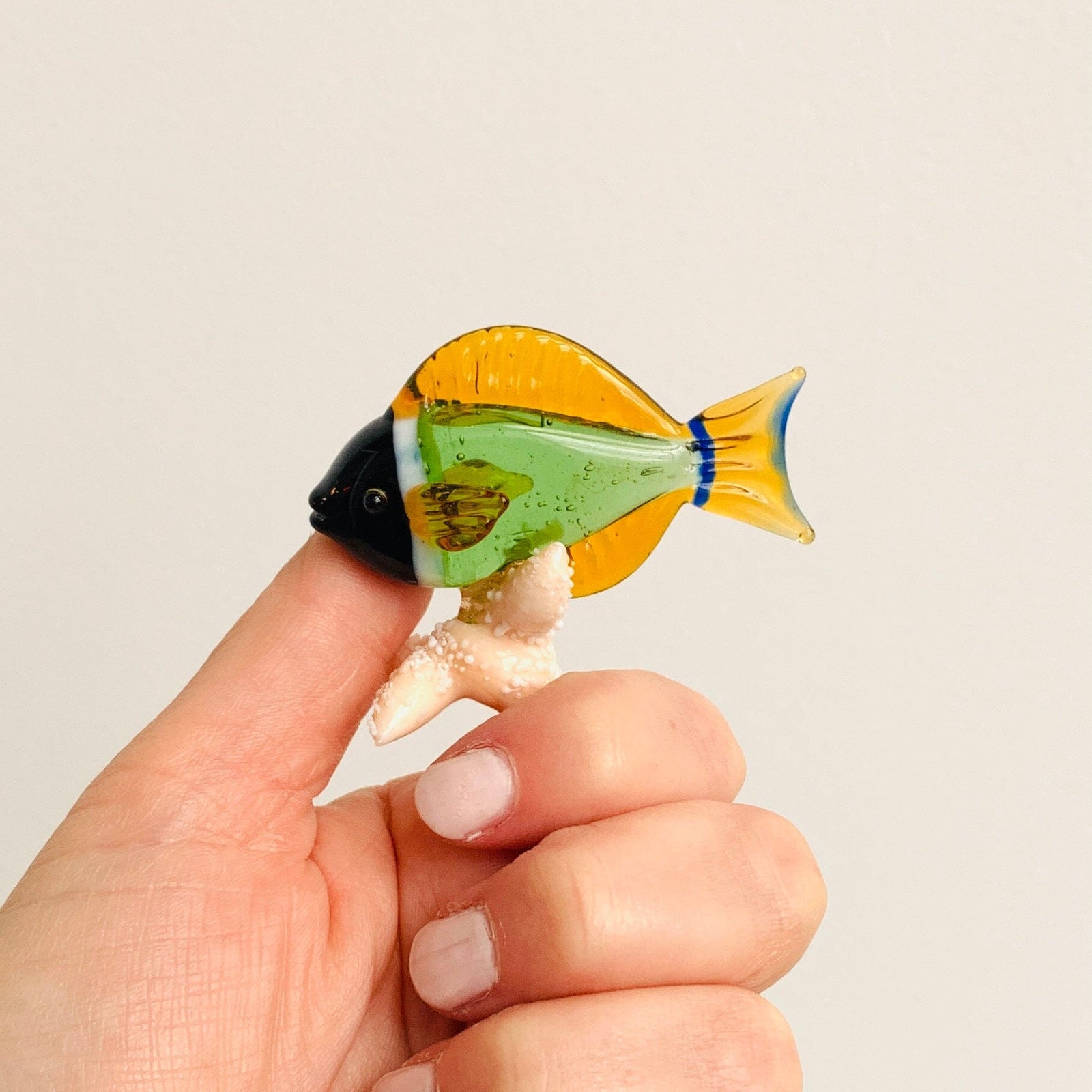 Tropical Fish on Sea Stars, Green Decor Beachcombers 