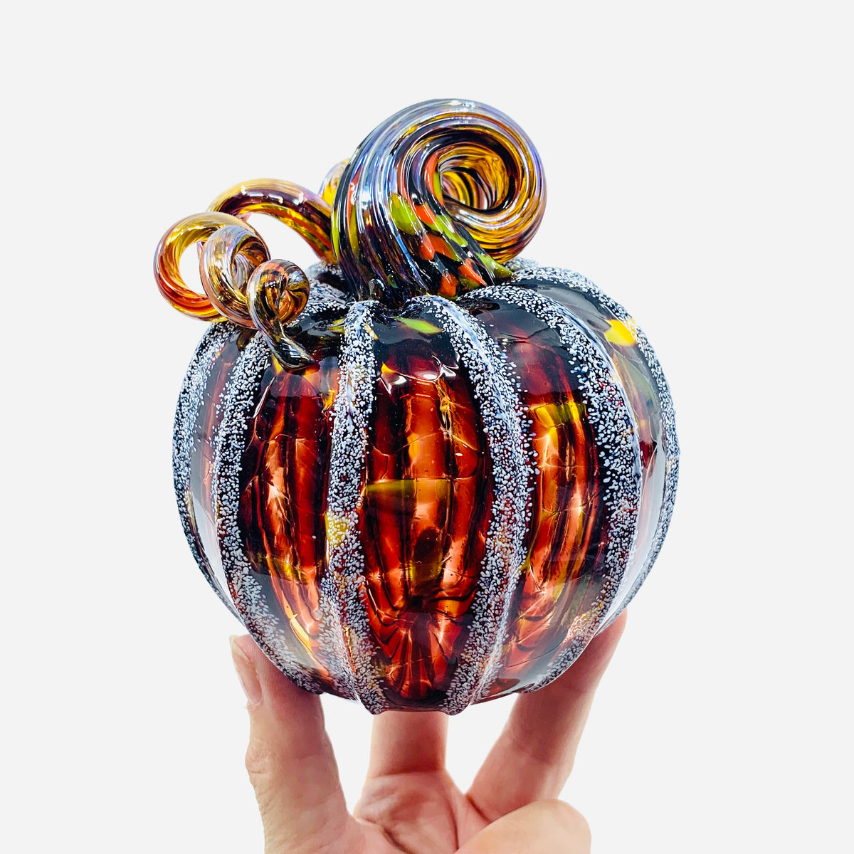 Daily Pumpkin 3355 Fall Squat