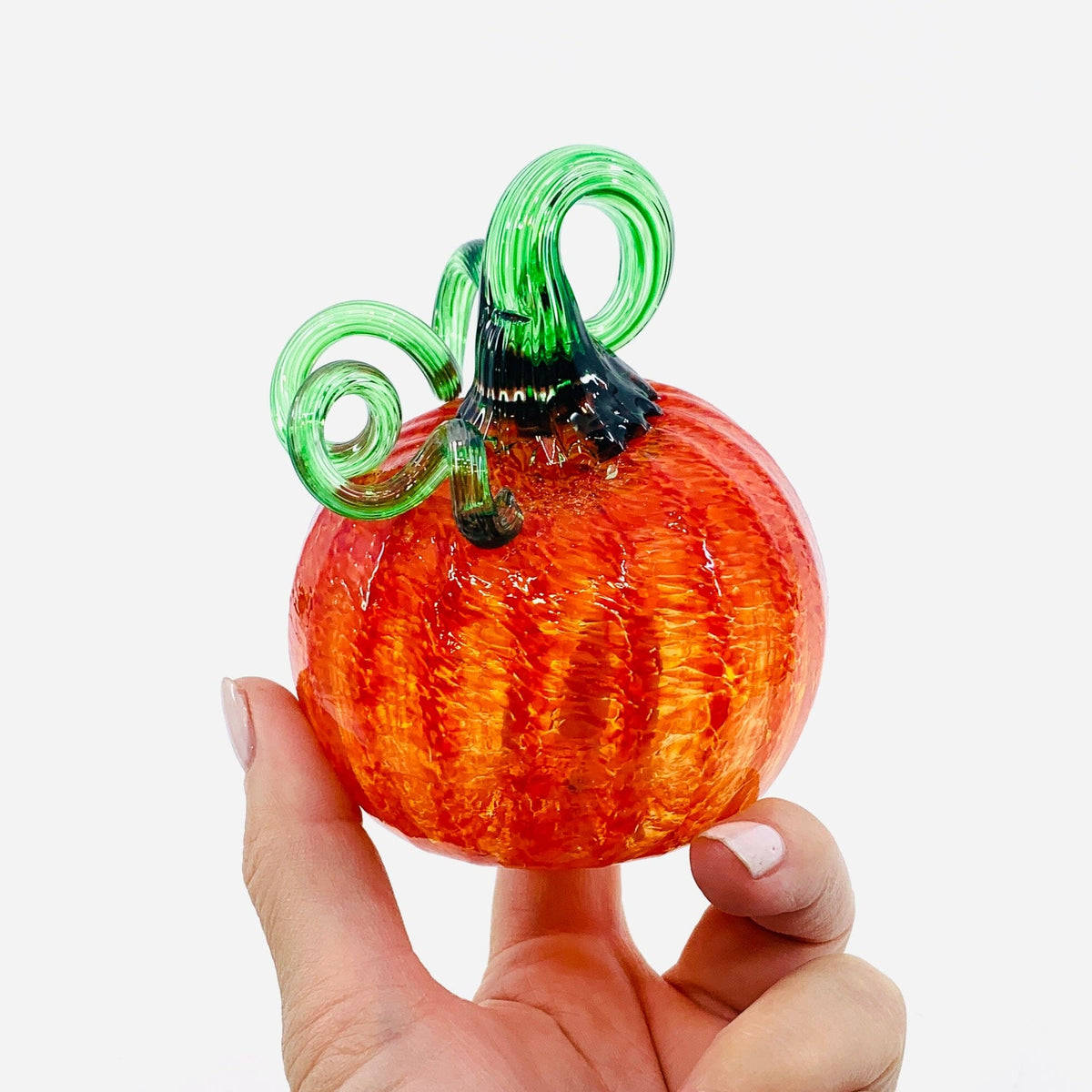 Daily Pumpkin 373 Fall Mini Daily Pumpkin Luke Adams Glass Blowing Studio 