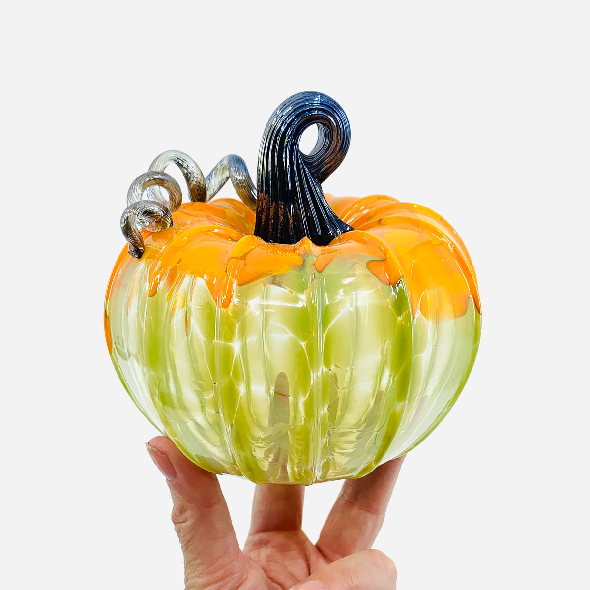 Daily Pumpkin 1433 Squat