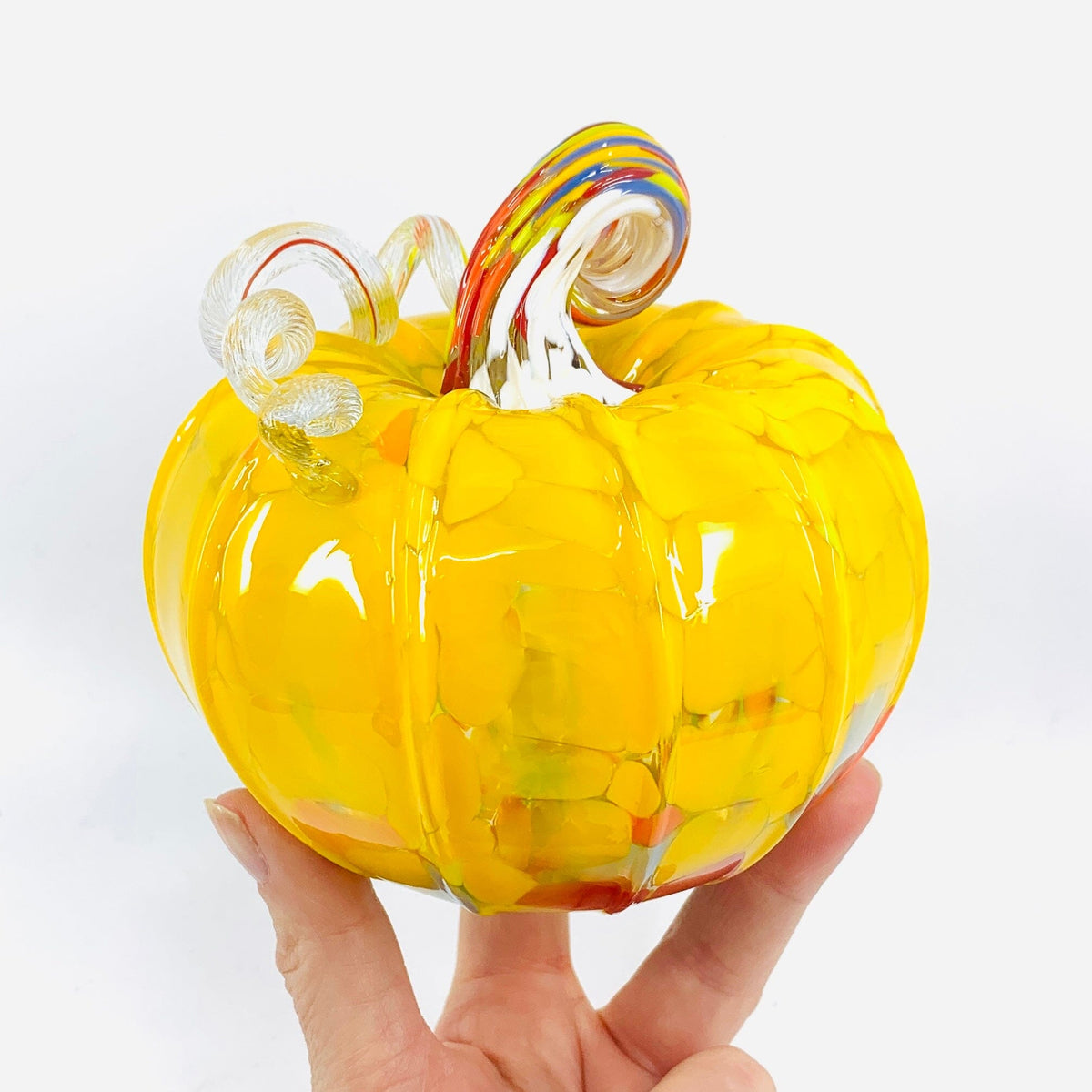 Daily Pumpkin 3927 Squat Gabby Luke Adams Glass Blowing Studio 