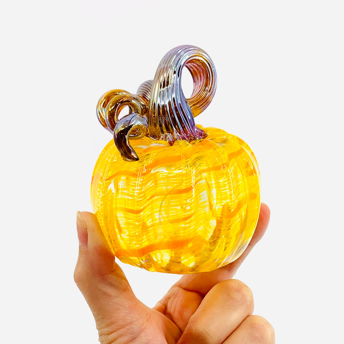 Daily Pumpkin 3269 Fall Mini