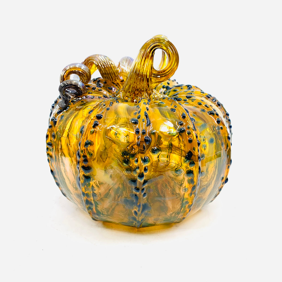 Daily Pumpkin 1161 Squat