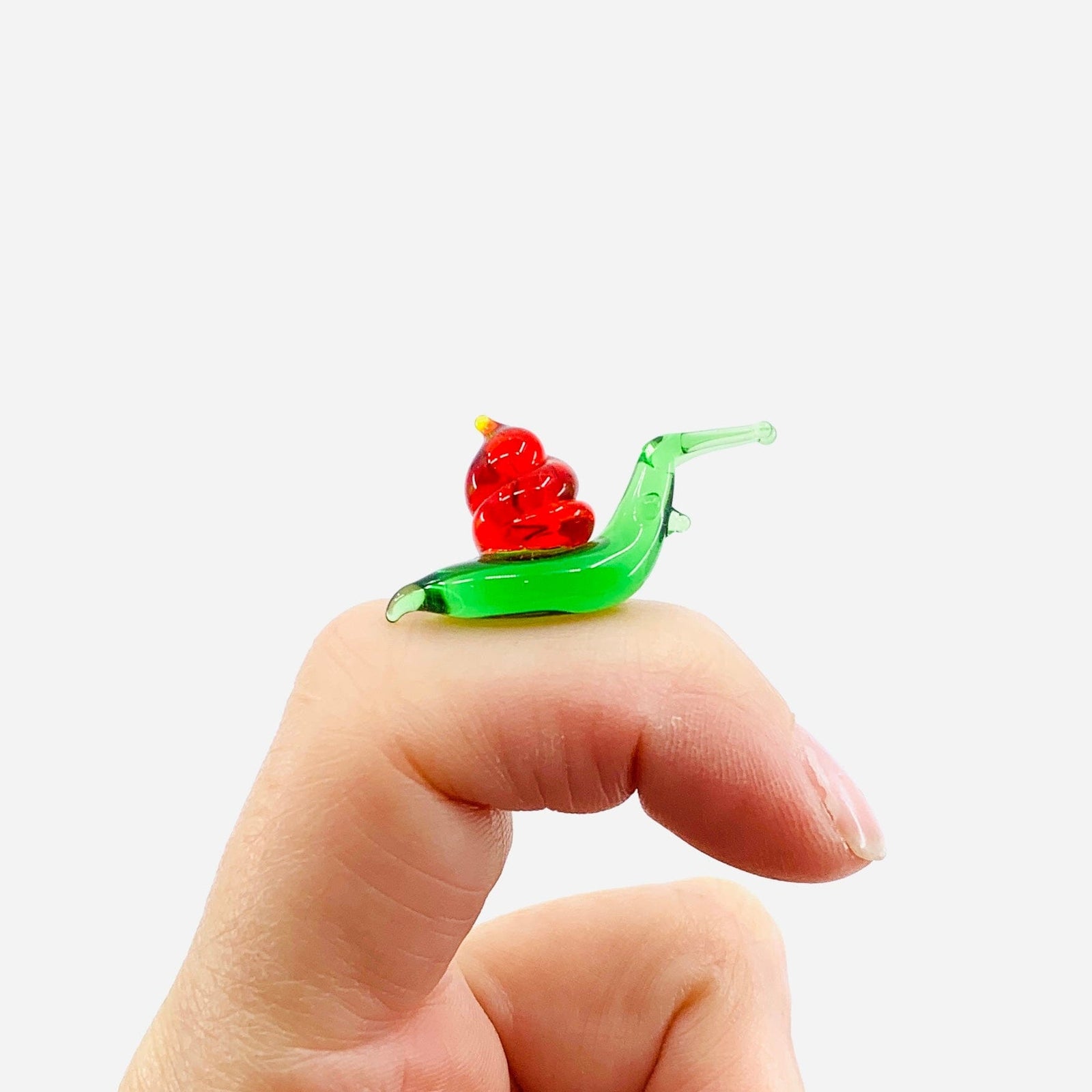 Teeny Teensie Snail 41 JACO 